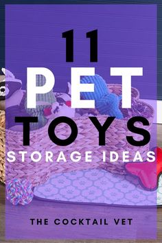 the cover of 11 pet toys storage ideas