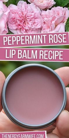 Here's how to turn roses into a homemade lip balm that's naturally flavored with peppermint essential oil! Crochet Ear Warmers, Peppermint Rose, Lip Balm Recipe, Diy Lip Balm Recipes, Balm Recipe, Herbal Medicine Recipes, Rose Lip Balm