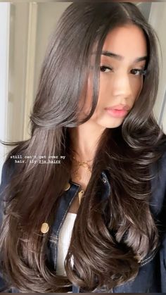 Dark Hair 90s Layers, Kendall Jenner Layered Hair, Jet Black Long Hair With Layers, Straight Haircut With Layers, Layered Haircuts Straight Hair, Rich Girl Blowout, Long Brown Hair Coquette, Hair Inspiration Long