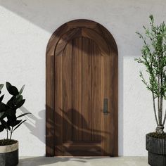 a large wooden door sitting next to two potted plants