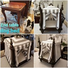 collage of photos with dog bed and end table