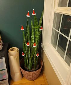 a potted plant with red and white cones on it sitting next to a window