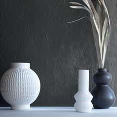 three vases are lined up against a wall, one has a plant in it