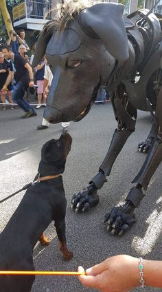 a dog standing on its hind legs next to a statue of a horse that is being held by a human's hand