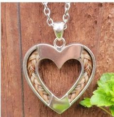 a heart shaped pendant is hanging on a wooden wall next to a potted plant