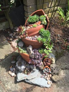 there are many succulents growing in the planter