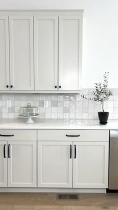 a kitchen with white cabinets and black handles on the countertop, along with a potted plant