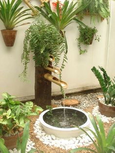 a water fountain surrounded by potted plants