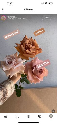 an image of flowers that are being displayed on the app store's phone screen