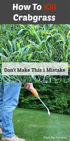 a person holding a carrot in their hand with the title how to kill crabgrasss don't make this mistake