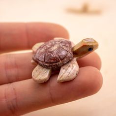 a tiny turtle sitting on top of a persons hand