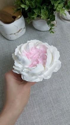 a hand holding a white and pink flower