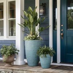 two large potted plants sitting on the front steps of a house with blue doors