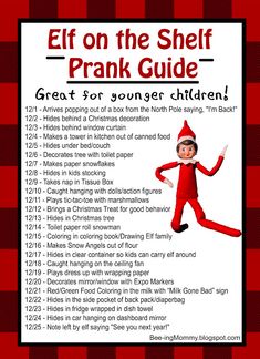 the elf on the shelf prank guide is shown in red and black checkered paper