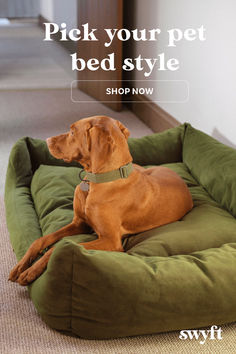 a brown dog laying on top of a green bed