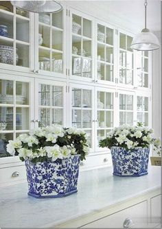 two blue and white flower pots sitting on top of a counter next to a window