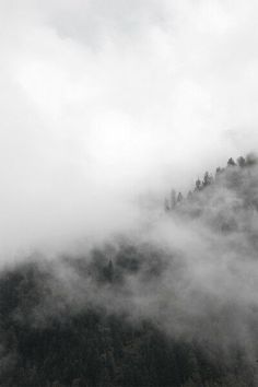 the mountains are covered in fog and low lying clouds, with trees on each side