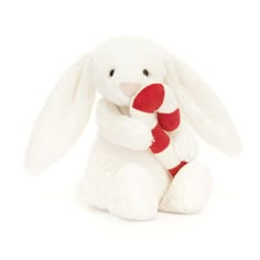 Jellycat Bashful Bunny with Candy Cane Bashful Bunny, Jellycat Bashful, Jellycat Bunny, Jellycat Stuffed Animals, Fluffy Tail, Jelly Cat, Soft Book, Activity Toys, Cute Stuffed Animals