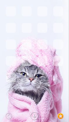 a cat wrapped up in a pink towel