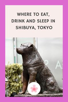 a statue of a dog sitting in front of a pink sign that says where to eat, drink and sleep in shibuya, tokyo