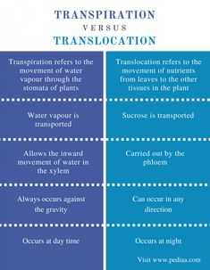 two blue and white lines with words describing transportation versus translocation on the opposite side