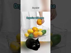 a black cat sitting in front of a glass bowl filled with oranges and lemons