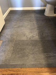 a bathroom with a toilet and wooden floors