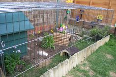 a small garden in the middle of a fenced off area with flowers and plants