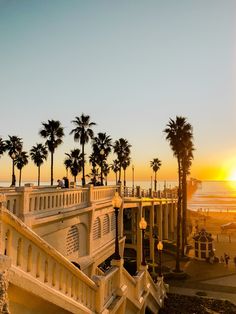 palm trees line the beach as the sun sets in front of an oceanfront hotel