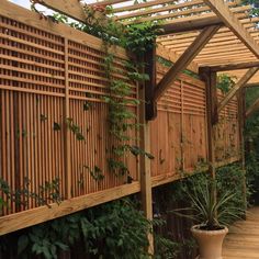 a wooden pergoline with plants growing on it