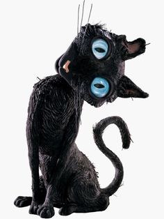 a black cat with blue eyes sitting on top of it's hind legs and looking at the camera