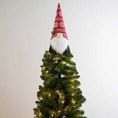 a small christmas tree with a gnome hat on top