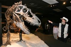 a man pointing at a dinosaur skeleton in a museum