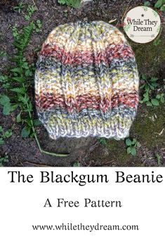 the blackgum beanie is knitted in multi - colored yarn and sits on top of grass