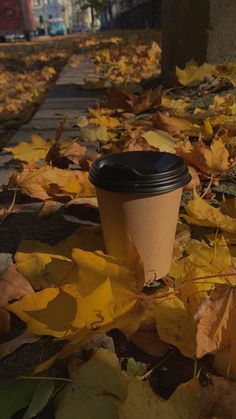 a coffee cup sitting on the ground covered in leaves