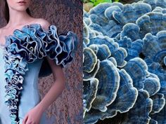 a woman in a blue dress standing next to an image of mushrooms and other plants