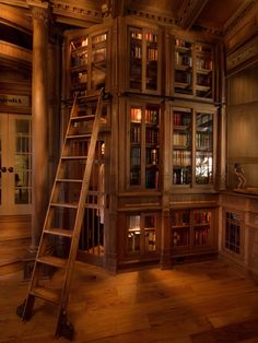 a ladder is in the middle of a room that has bookshelves and shelves