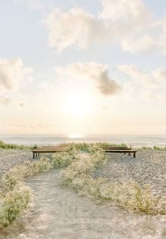 two benches sitting on top of a sandy beach next to the ocean with grass growing out of it