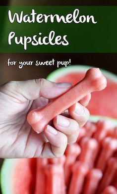 watermelon popsicles are the perfect treat for your sweet pupp or dog