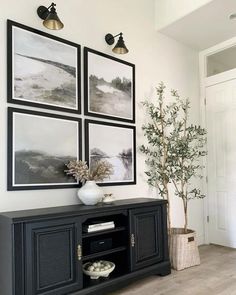 a living room with pictures hanging on the wall and a potted plant next to it