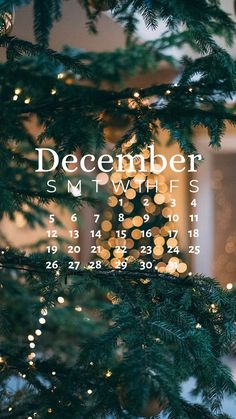 a december calendar hanging on a christmas tree in front of a lit up window with lights