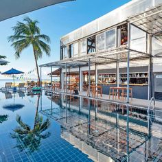 an outdoor swimming pool with lounge chairs and palm trees