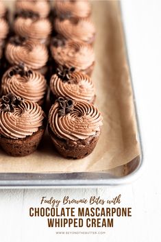 chocolate cupcakes with frosting on a tray