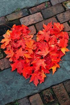 a heart shaped arrangement of red and orange leaves on brick walkways in the shape of a heart