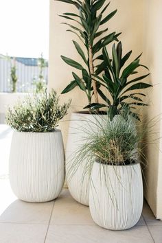 two large white planters sitting on top of a tiled floor