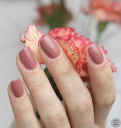 Skincare Blog, Braut Make-up, Blush Brush, Healthy Nails, Beauty Recipe, Resort Collection, Sorrento, Nail Polish Colors, Gorgeous Nails