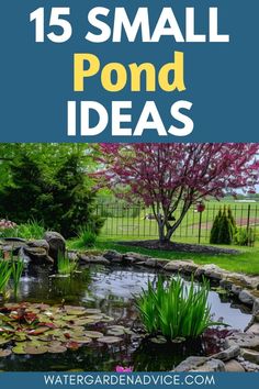 Create a tranquil backyard retreat with these inspiring small pond ideas. Explore creative pond designs that maximize space and beauty, from charming container ponds to elegant mini water gardens and koi ponds. Embrace the use of aquatic plants, decorative stones, and soothing water features to enhance your small pond's appeal. Turtle Ponds Backyard Diy, Container Ponds, Tranquil Backyard, Small Pond Ideas, Koi Pond Backyard, Natural Ponds, Backyard Pond Ideas