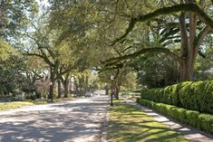 a street lined with lots of trees and bushes