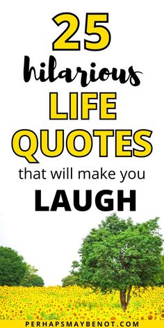 sunflowers with the words 25 hilarious life quotes that will make you laugh