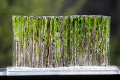 a glass sculpture with trees in the background